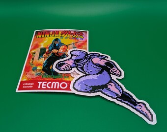 Ninja Gaiden Decal Stickers
