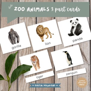 Montessori dierentuindieren 3 deelkaarten | Woordenschat Animal Flash Cards voor kinderen | Dierenmatchspel | Flashkaarten voor peuters Educatieve kaarten