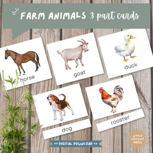 Montessori Farm Animals  3 Part Cards | Vocabulary Animal Flash Cards for Kids | Animal Matching Game | Toddler Flash Cards