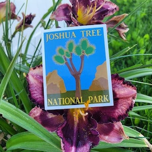 Joshua tree National Park blue sky decal!