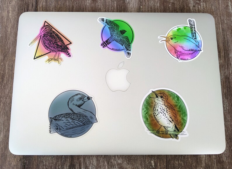 Thrush Bird Sticker Wood Thrush Vinyl Sticker: Geometric Bird Art, Nature Decal - Etsy