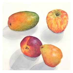 Pittura ad acquerello - Frutta Natura Morta - Stampa giclée - Deliziosi colori di Mango, Mela, Nettarina e Pera