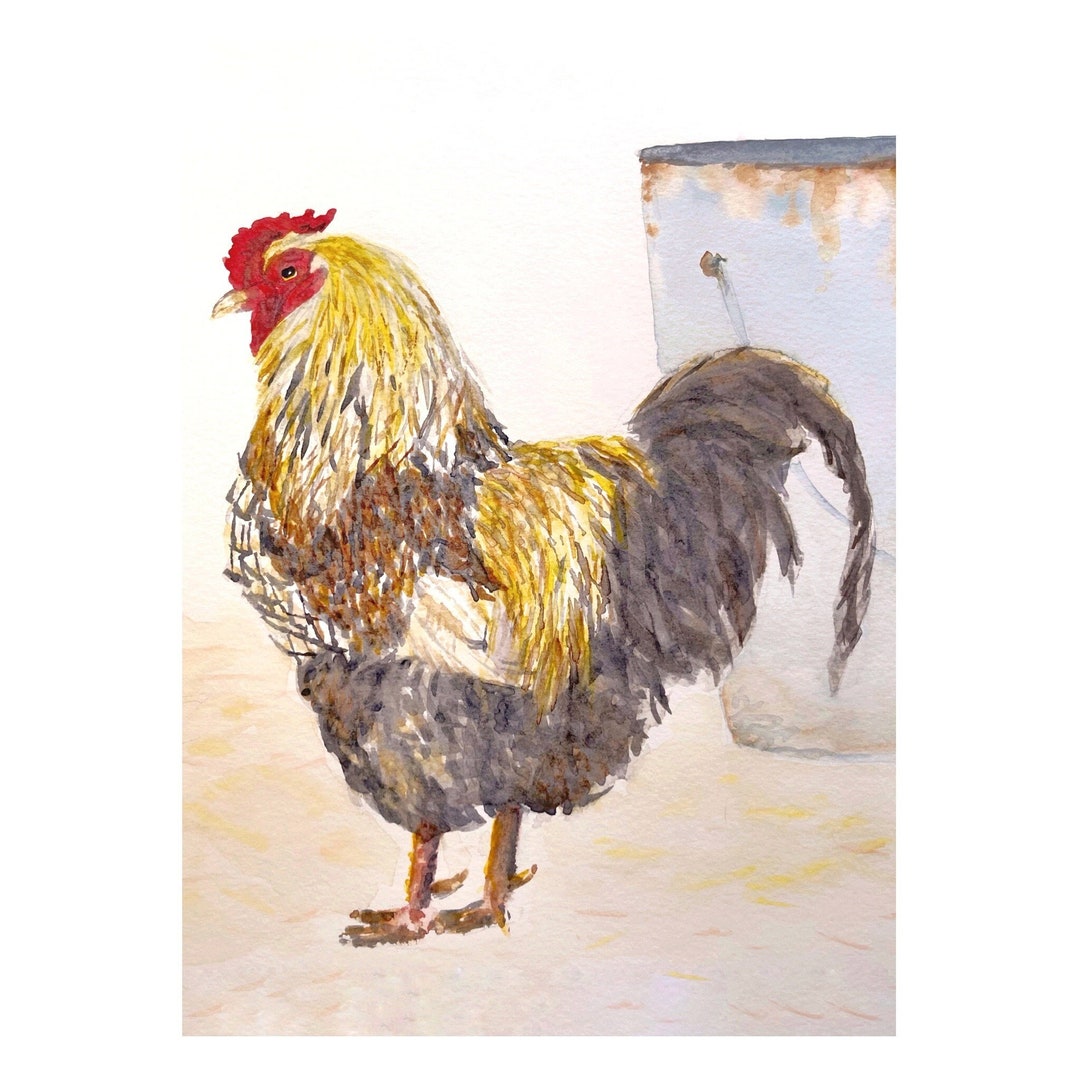 Watercolor Painting - Brahma Rooster - Giclee Print - Farmyard Cock-a ...
