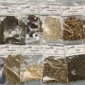 Flowers and Herbs, Natural Curio, Dried Herbs, Dried Flowers, Apothecary