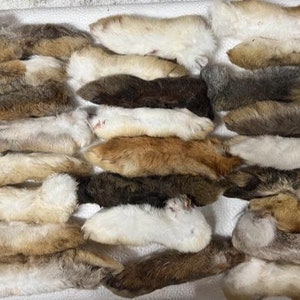 25 Rabbit BACK  Feet, AMISH RAISED ,dehydrated, natural chew toys for dogs & cats.  No Preservatives. This listing is all back feet.