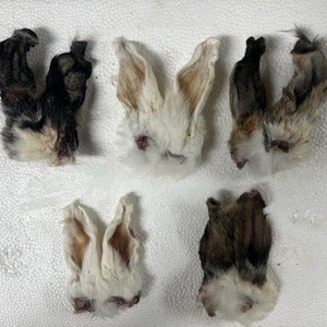 Rabbit Ears, CRAFT GRADE, 5 pairs, all natural dog treats, dehydrated, Amish Raised, No Preservatives.