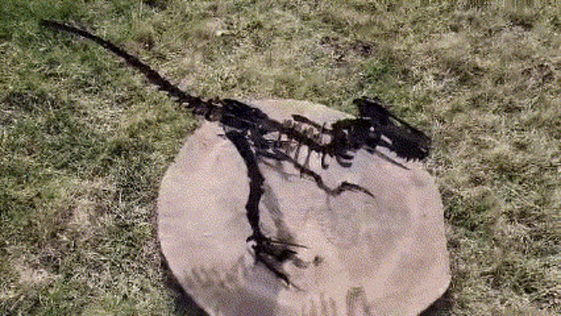 Raptor Steel Sculpture | Metal Dinosaur Centerpiece | Velociraptor ...