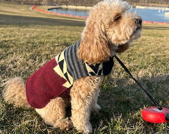 Southwest Pets Poncho / Small and Medium Dog Clothes / Unique Dog Clothing / Small - Medium Poncho for Dogs / Clothes for Dogs
