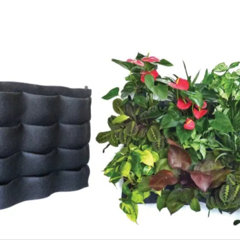 Living Wall - Etsy