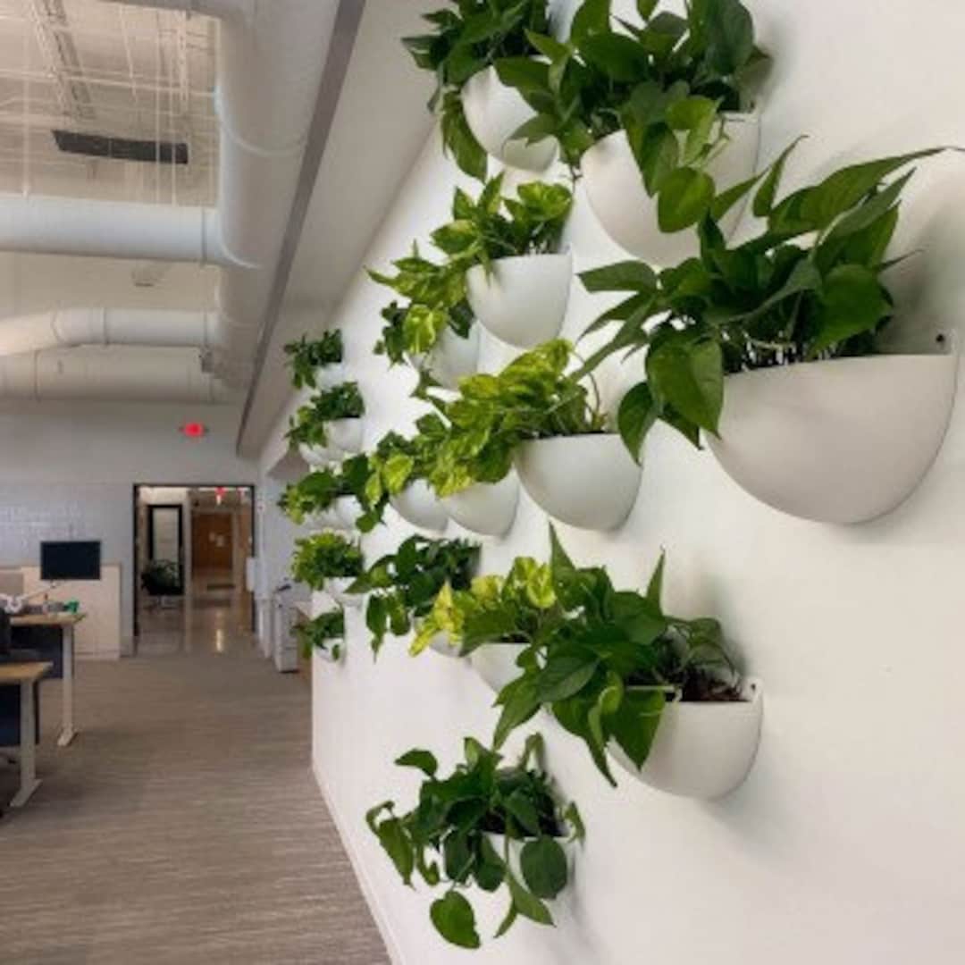 Wall Sconce Planter Etsy