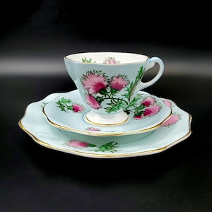 Vintage EB Foley England "Glengarry Thristle" 3 Piece Tea Cup Saucer Set  #2538