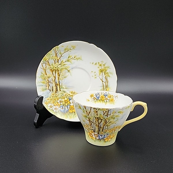 Vintage Shelley Daffodil Time 13370 Cambridge Tea Cup & Saucer Fine Bone China *