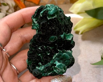 AAA Velvet Malachite Specimen - High Quality Raw Fibrous Botryoidal Malachite from the Congo