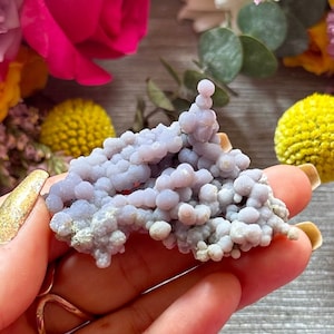 Beautiful AAA Grape Agate Crystal - High Quality Purple Sparkly Botryoidal Chalcedony Specimen