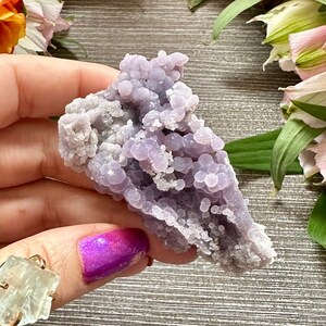 Beautiful AAA Grape Agate Crystal - High Quality Purple Sparkly Botryoidal Chalcedony Specimen