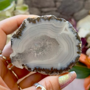 Las Choyas Geode - High Quality Coconut Geode Ethically Sourced from Chihuahua, Mexico
