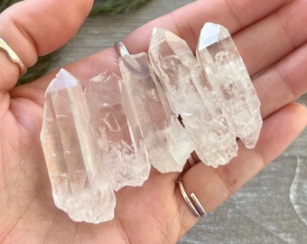 AAA Lemurian Seed Quartz Crystal - 1 (One) Small Raw Pocket Stones High Quality and Ethically Sourced from Brazil