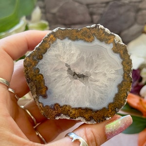 Las Choyas Geode - High Quality Coconut Geode Ethically Sourced from Chihuahua, Mexico