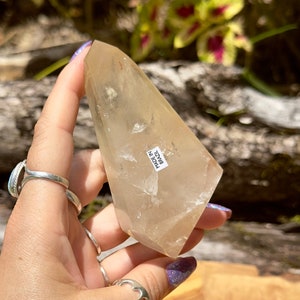 Champage Citrine Freeform - Genuine Natural Citrine Free Form from Brazil - High Quality and Ethically Sourced from Bahia