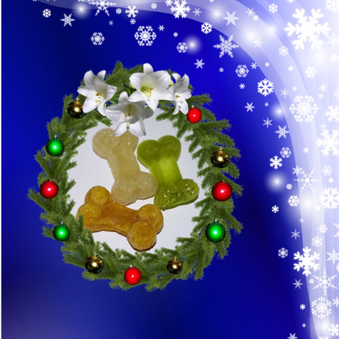 Grainfree Christmas Dog Treats Handmade With Allnatural Etsy