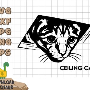 May include: Black and white illustration of a cat peeking out from a ceiling opening. The cat has a serious expression and is looking directly at the viewer. The text "CEILING CAT" is written below the cat.