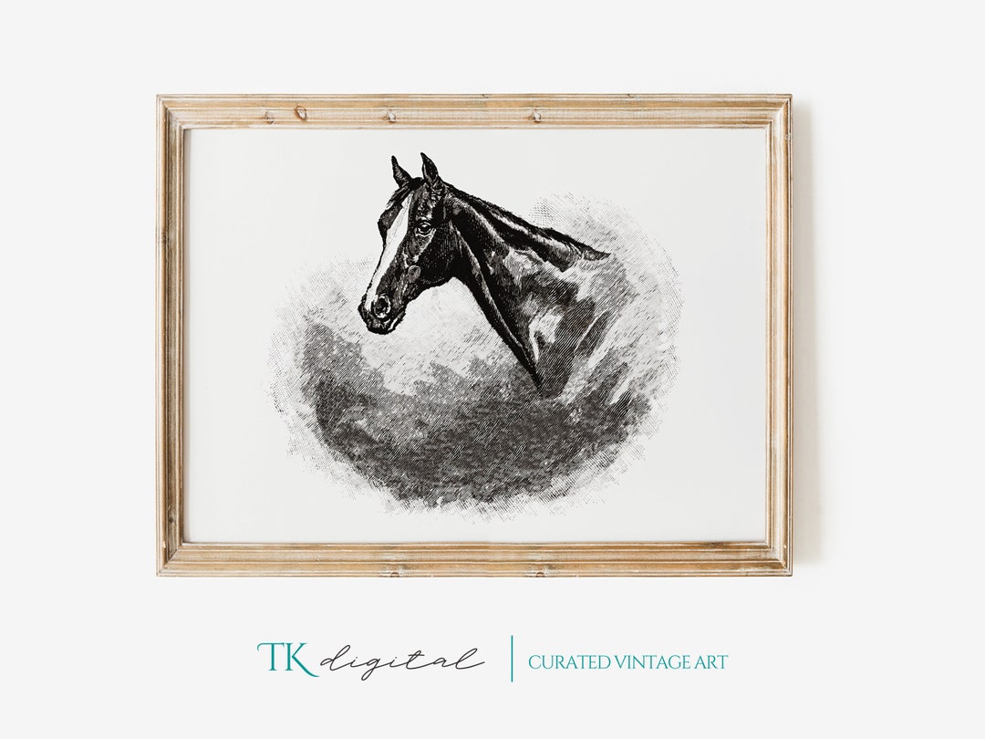 Vintage Horse Drawing Print Vintage Printable Art Antique Printable Art ...