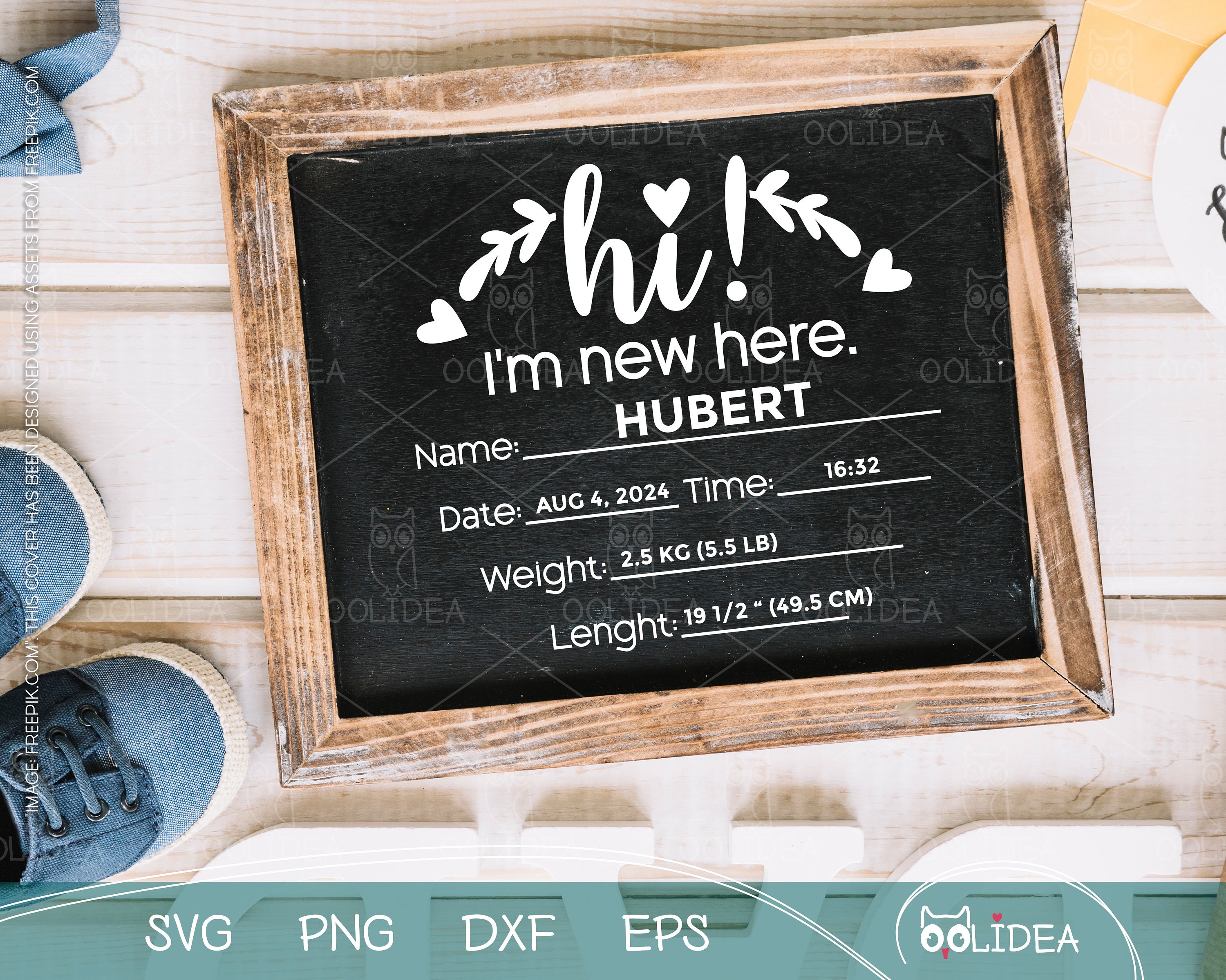 Floral Baby Milestone SVG Bundle: Monthly Announcements, Hello World ...