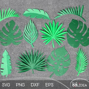 Paquete SVG de hojas tropicales: plantillas de papel y archivos de corte para Cricut/Silhouette Crafting