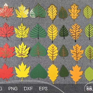 May include: A set of 20 different leaf SVG cut files in various colours, including red, green, yellow, and brown. The leaves are in a variety of shapes and sizes, perfect for crafting projects.