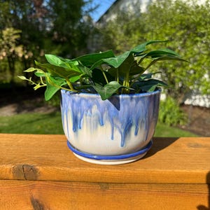 May include: A ceramic planter with a blue and white glaze, filled with green leafy plants. The planter has a round shape with a matching saucer. The blue glaze drips down the sides, creating a unique design. The planter is sitting on a wooden deck.