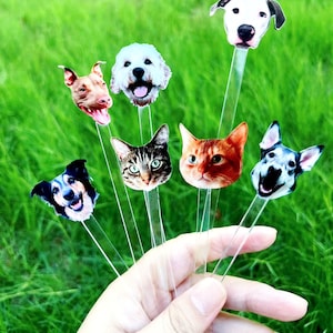 Benutzerdefinierte Hochzeits-Haustier-Rührstäbchen, doppelseitige Hunde-Rührstäbchen, personalisierte Acryl-Haustier-Rührer, Hochzeits-Swizzle, Hochzeitsgetränke-Rührer