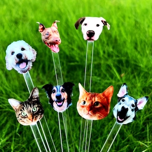 Drink Stirrers Personalized With Dog Face, Pet Birthday Stir Sticks, Custom Party Decorations, Swizzle Sticks, Wedding Drink Sticks