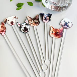 Personalisierte Hochzeit Haustier Rührstäbchen | Spezieller doppelseitiger Hunderührstab | Cocktailrührer aus Acryl | Hochzeit Swizzle | Zauberstäbchen