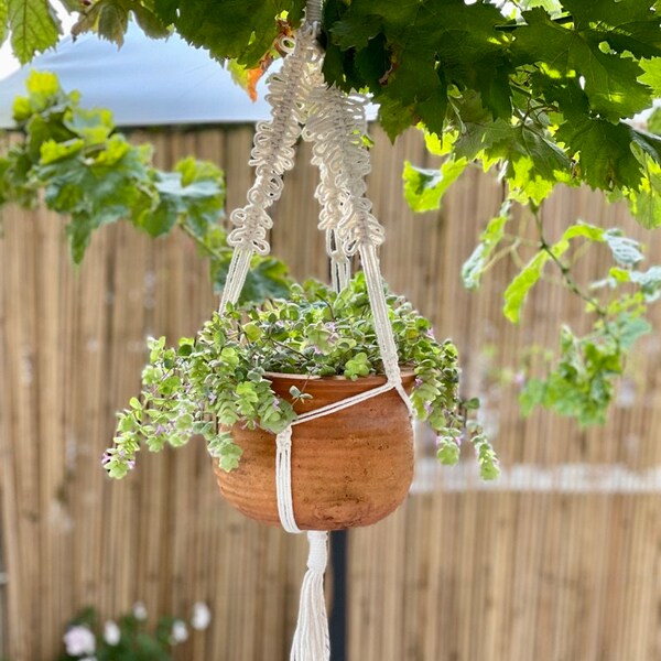 Hanging Plant Holder Etsy UK
