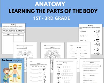 解剖学 - 体の部位を学ぶ