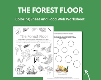 森の床の塗り絵とワークシート