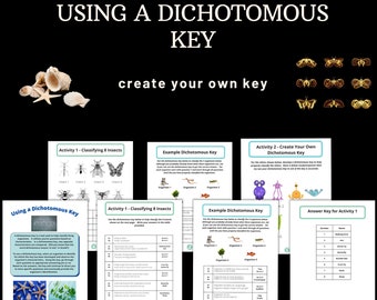 二分法キーの使用