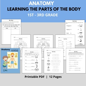 Anatomy - Learning the Parts of the Body