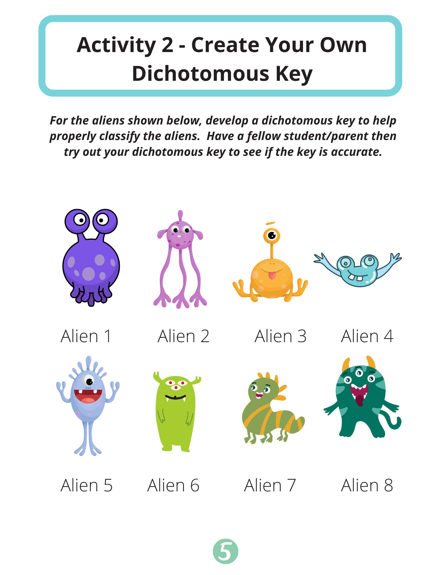 Dichotomous Key Worksheet