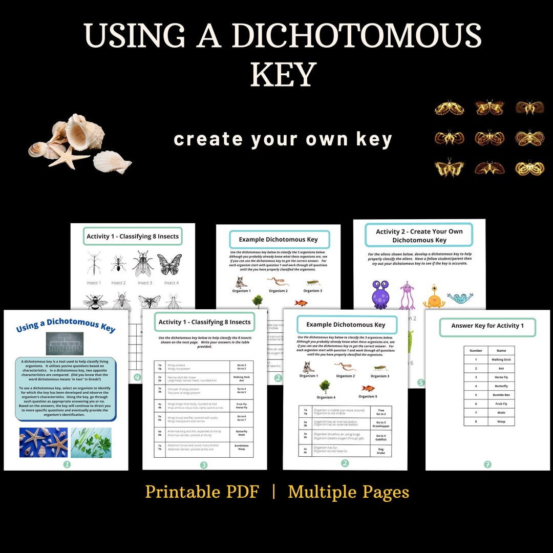 Using a Dichotomous Key Etsy