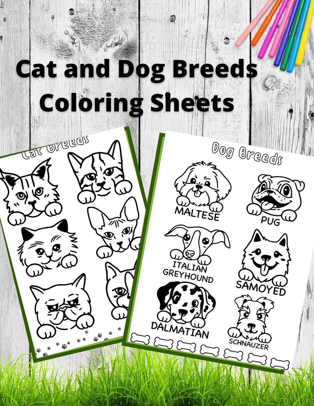 Cat and Dog Breeds Coloring Sheets - Etsy