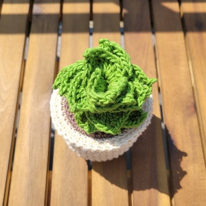 Crochet Handmade Potted Succulent | Crochet Plants | Cute Desk Decor Gift Housewarming