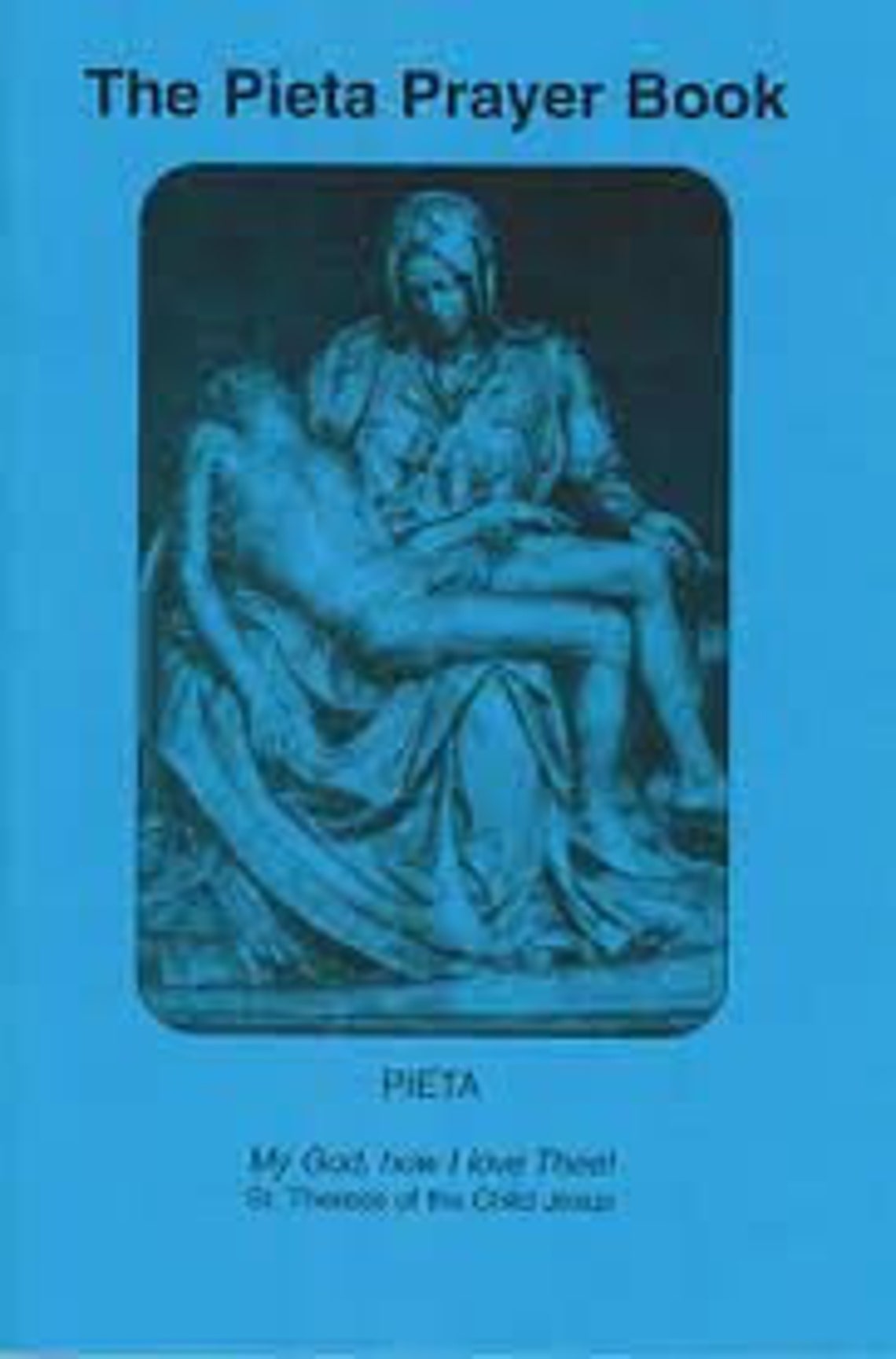 Pieta Prayer Book Catholic 15 St Bridget Prayers Digital Download - Etsy