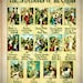 Stations of the Cross Catholic Lent Prayer Devotion Picture Poster for ...