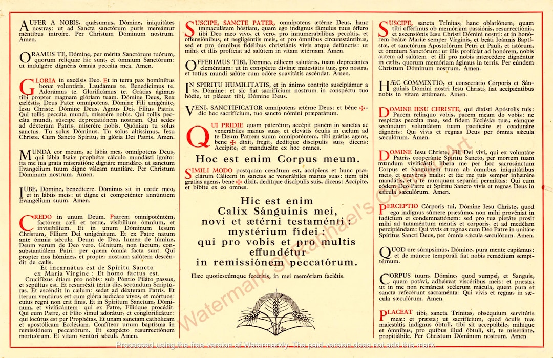 Latin Mass Altar Cards, Traditional Catholic Travel Priest Cards ...
