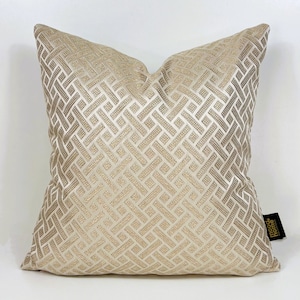Luxury Golden Pillow Cover,Gold Cream Luxury Cushions Biege-Gold Decorative Pillow, Golden Cream Cushion Cover,18x18x20x20 inch