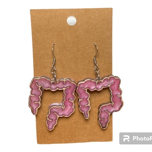 Large Intestine, digestive, colon