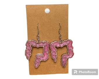 Large Intestine, digestive, colon
