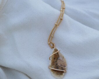 Shell Necklace | 14k Gold Filled