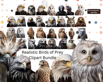 Realistic Birds of Prey Clipart Bundle of 35!